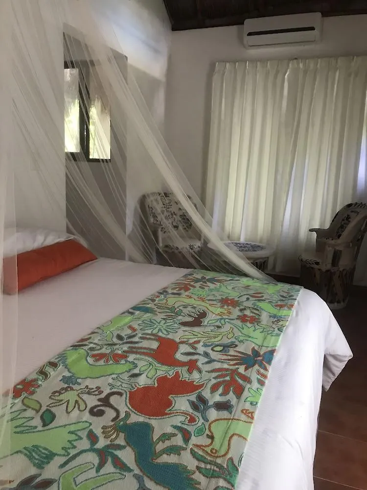 Ecovergel Riviera Maya Hotel Boutique Chemuyil 3*,